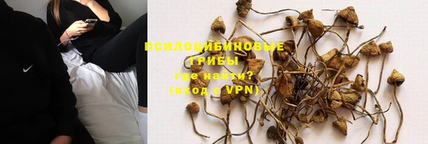 марки nbome Белокуриха