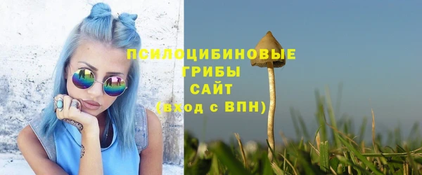 марки nbome Белокуриха