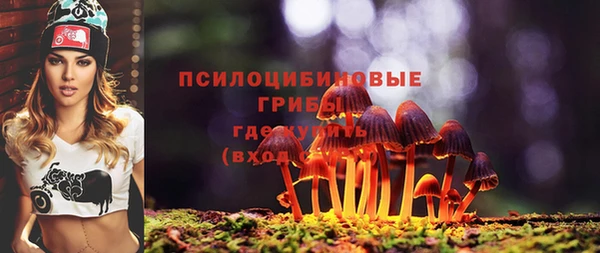 марки nbome Белокуриха