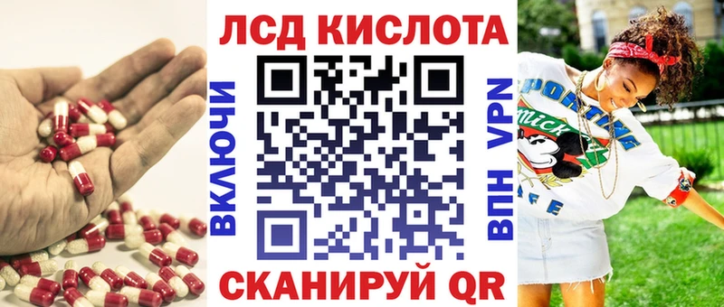 Купить  Судак  LSD-25 экстази кислота 