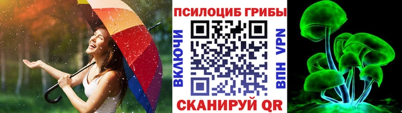 Купить закладки  Судак  Галлюциногенные грибы Cubensis 